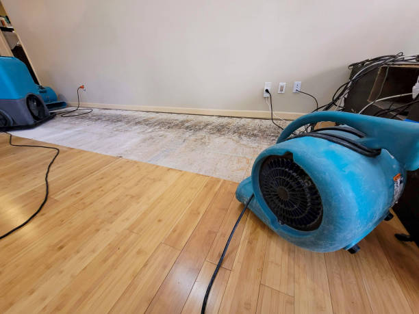 Professional Structural Drying technician working in Perry, GA
